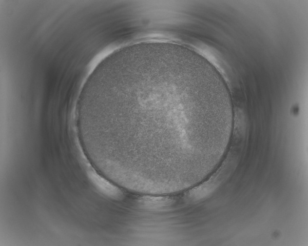 X0000116771474201001281622