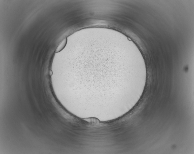 X0000116771475201001281622