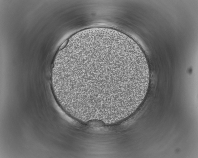 X0000116771476201001281622