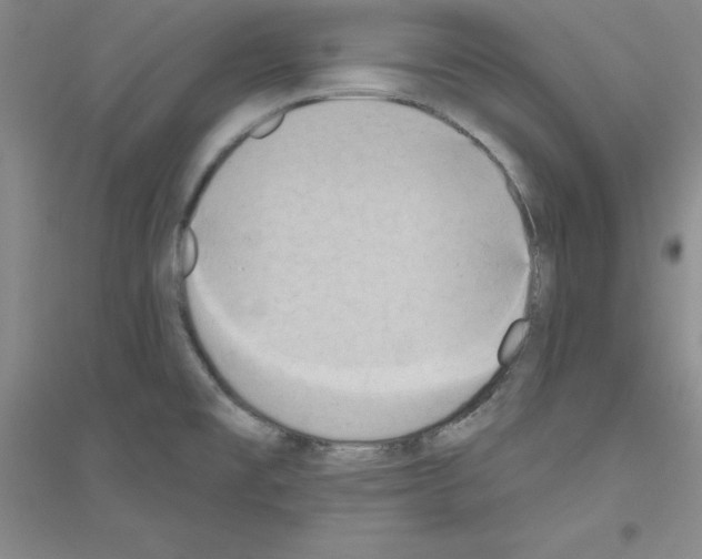 X0000116771477201001281622