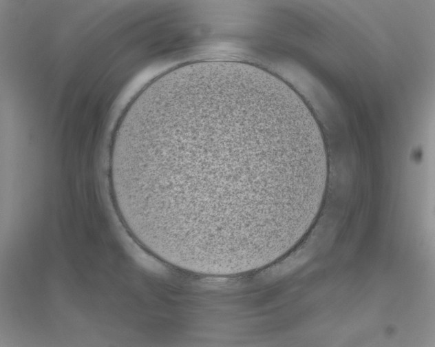 X0000116771478201001281622