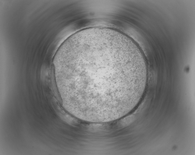 X0000116771481201001281622