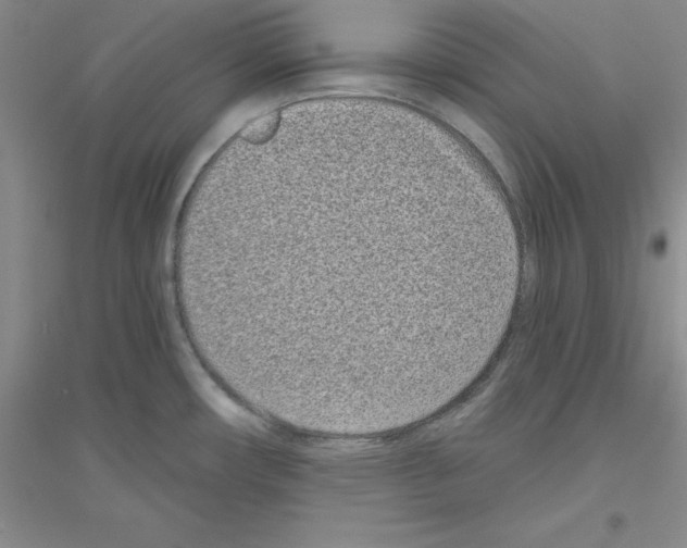 X0000116771482201001281622