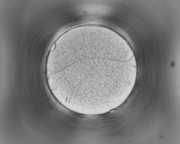 X0000116771483201001281622