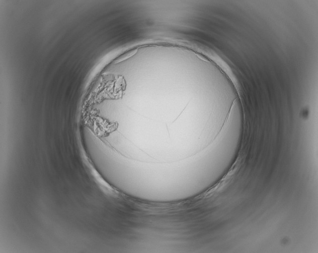 X0000116771485201001281622