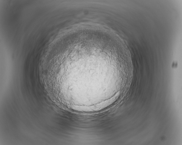 X0000116771489201001281621