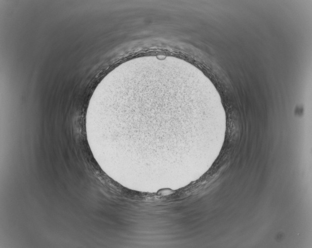 X0000116771490201001281621