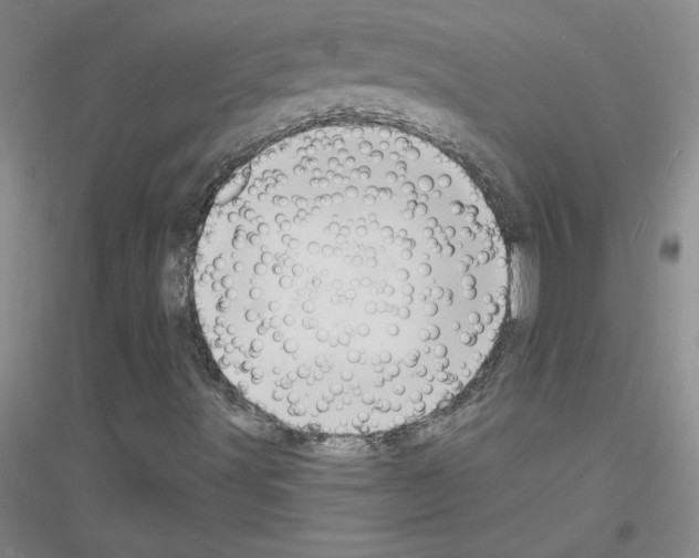 X0000116771491201001281622