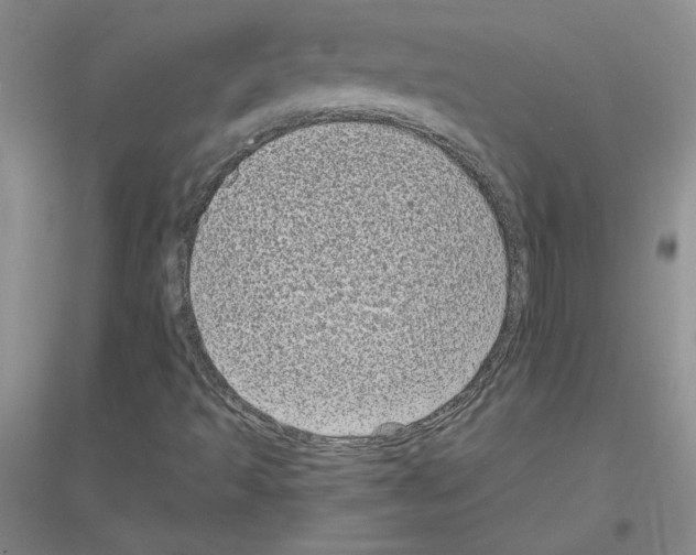 X0000116771493201001281622
