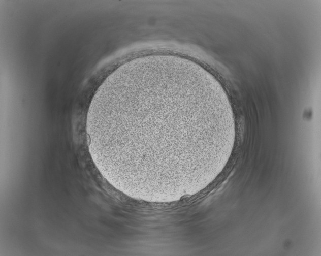 X0000116771494201001281622