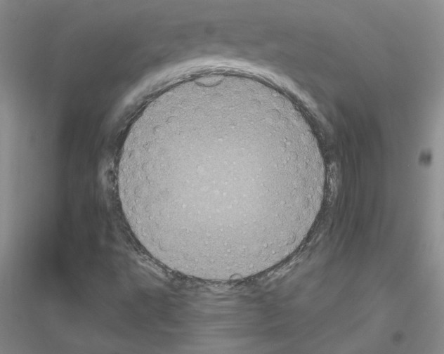 X0000116771495201001281622