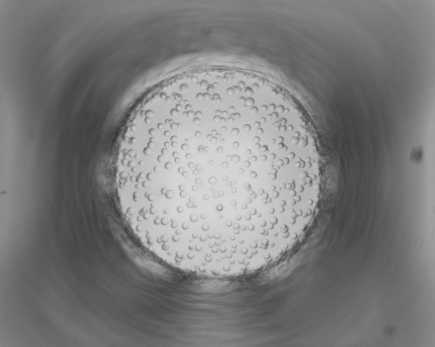 X0000116771499201001281622