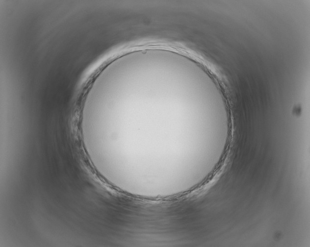 X0000116771502201001281622