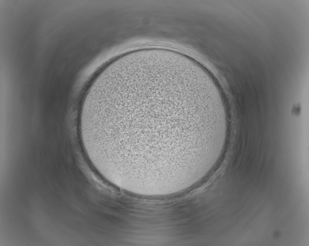 X0000116771503201001281622