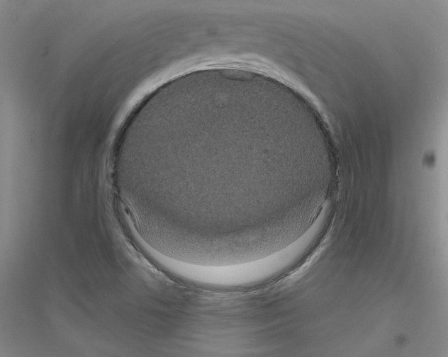 X0000116771506201001281622