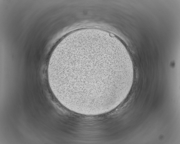 X0000116771507201001281622
