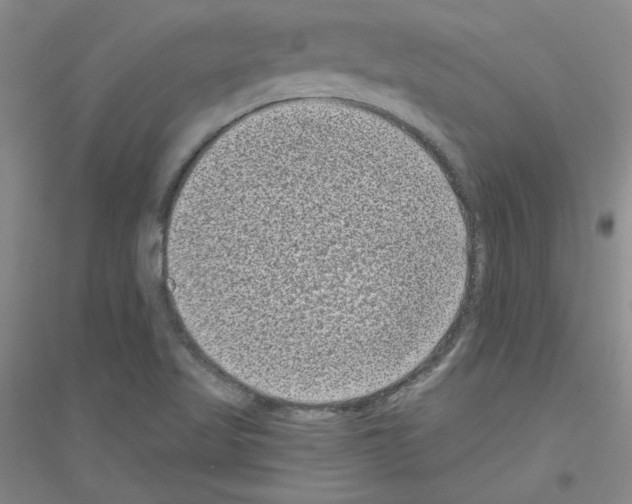 X0000116771509201001281622