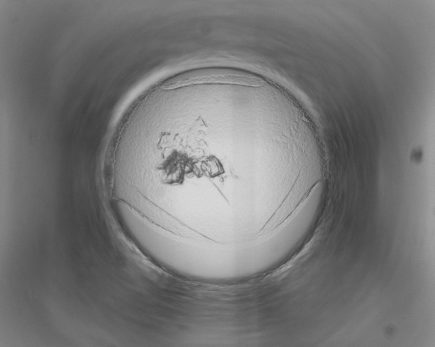 X0000116771510201001281622