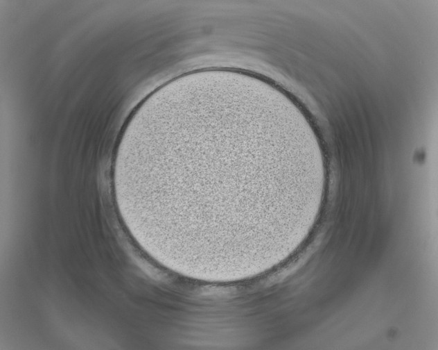X0000116771513201001281622