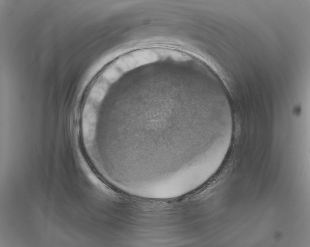 X0000116771515201001281622