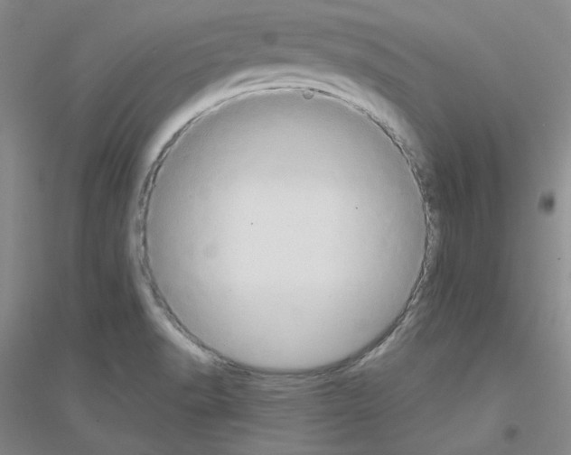 X0000116771518201001281622