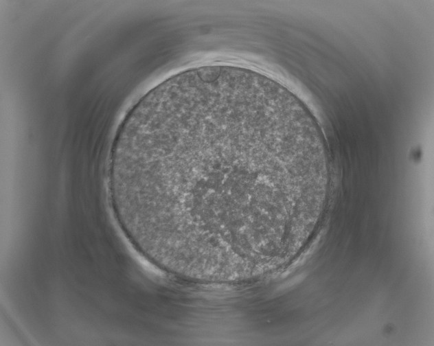 X0000116771525201001281622