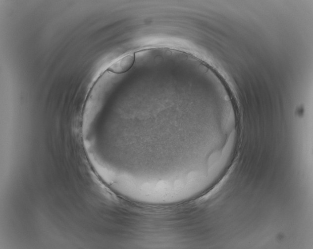 X0000116771529201001281622