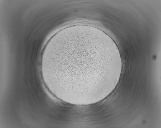 X0000116771531201001281622
