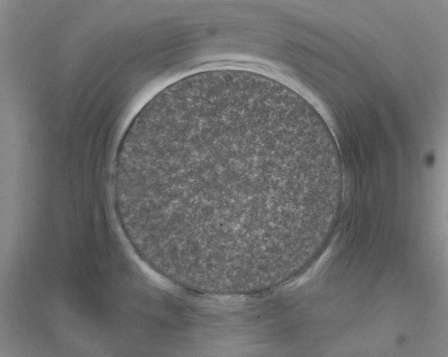 X0000116771533201001281622