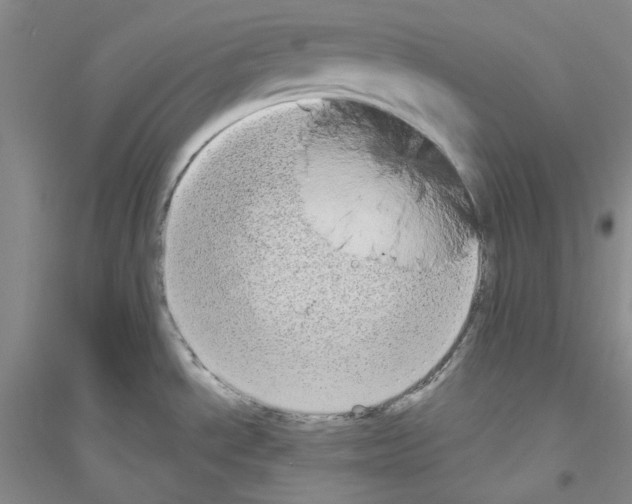X0000116771534201001281622