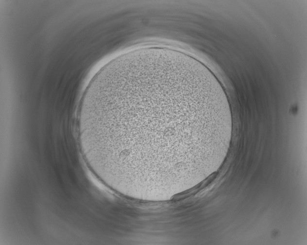 X0000116771535201001281622
