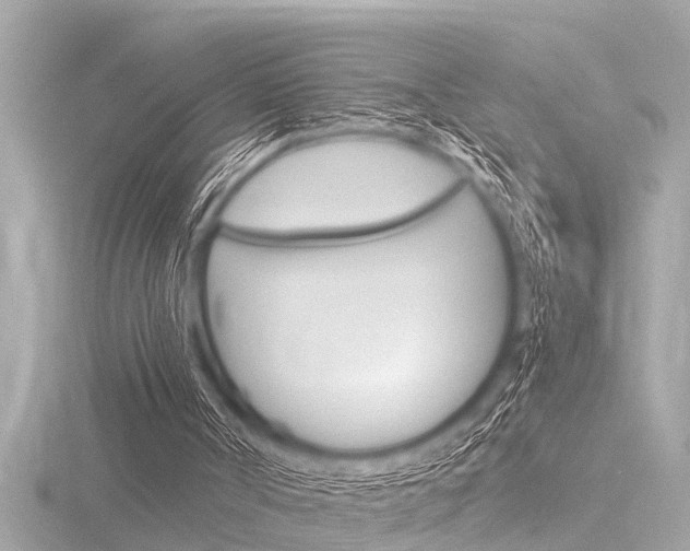 X0000116780002200912171319