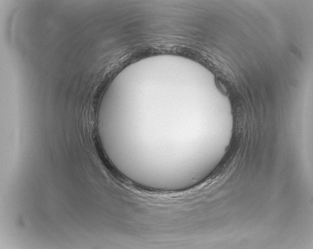 X0000116780040200912171319