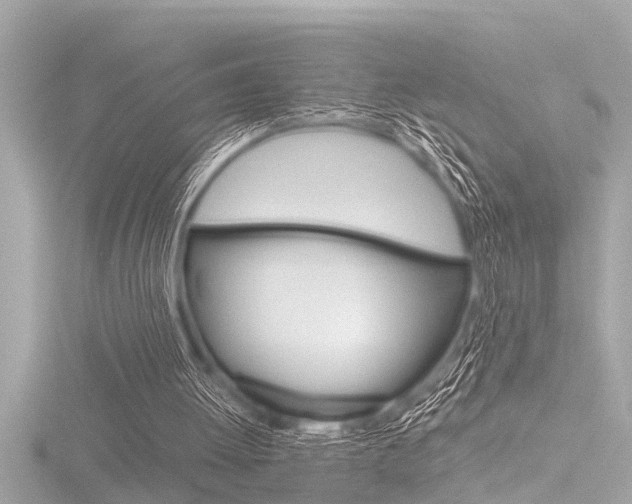 X0000116780052200912171318