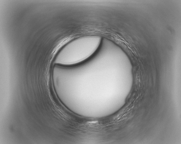 X0000116780054200912171318