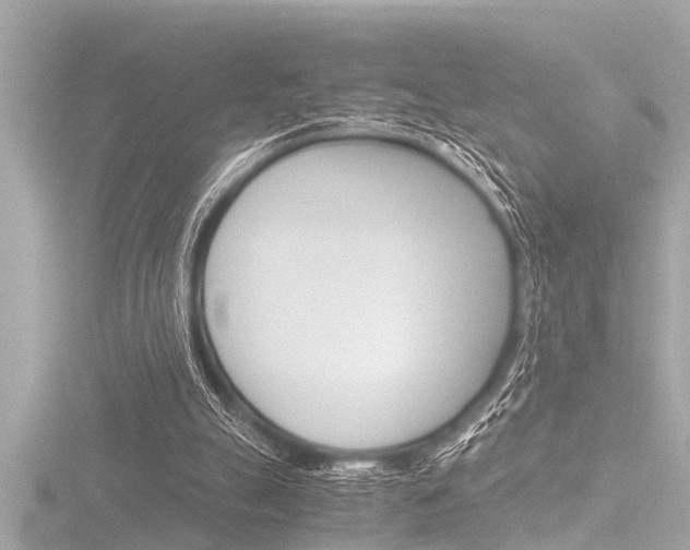 X0000116780055200912171318