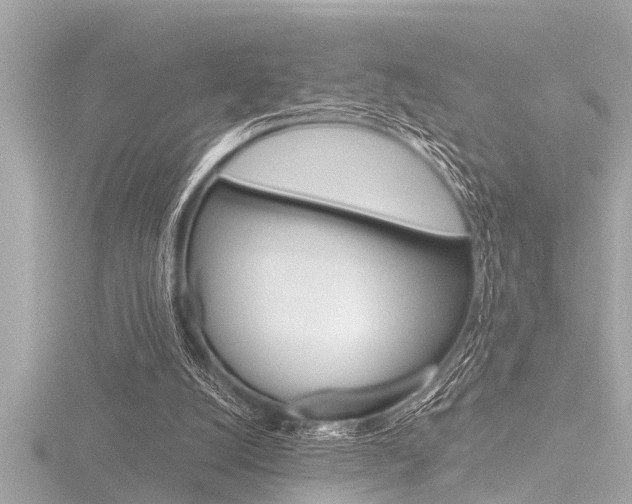 X0000116780056200912171318