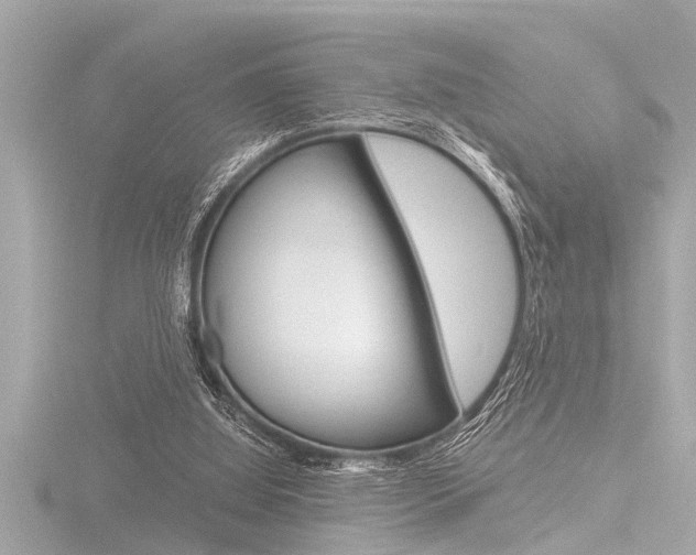 X0000116780060200912171318