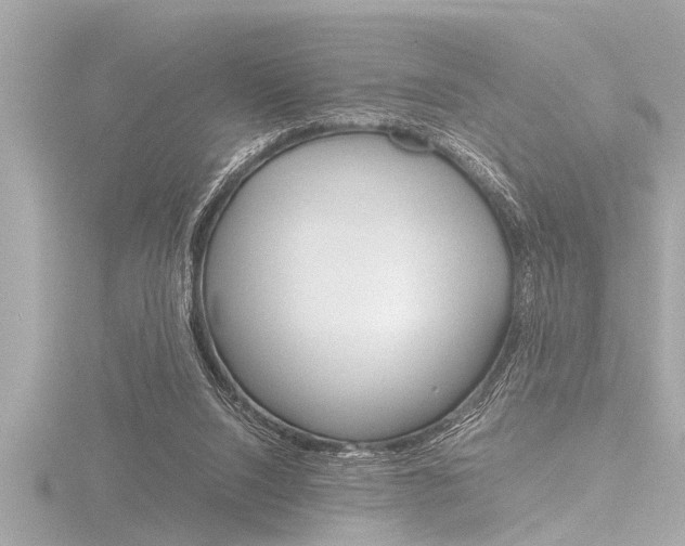 X0000116780064200912171318