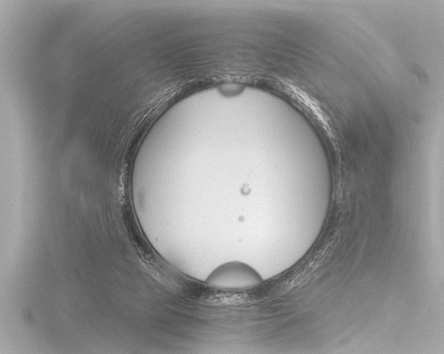 X0000116780065200912171318