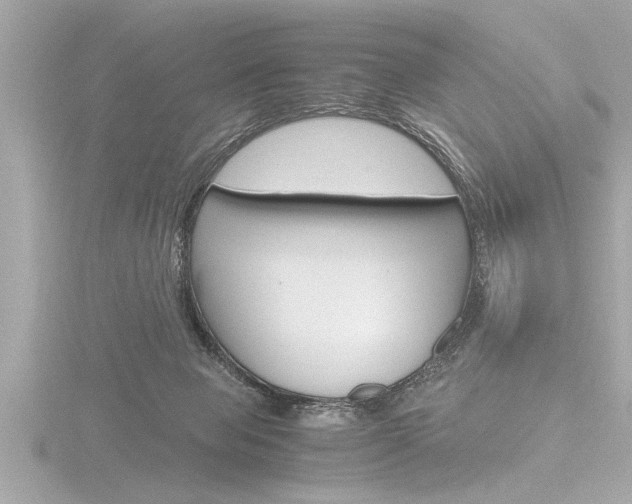 X0000116780077200912171318