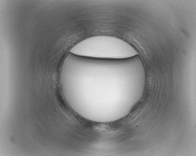 X0000116780079200912171318