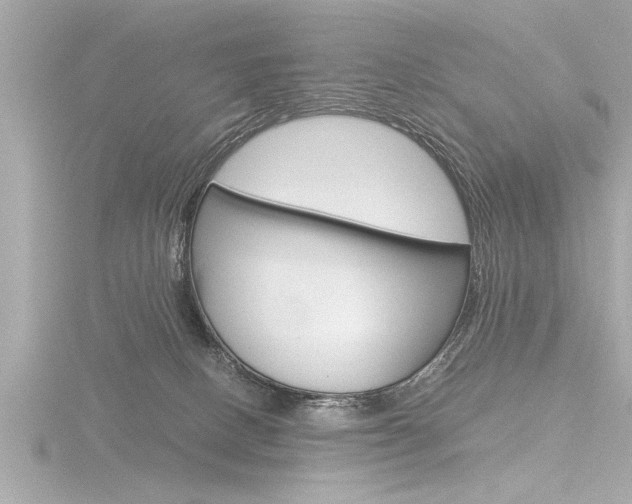 X0000116780082200912171318