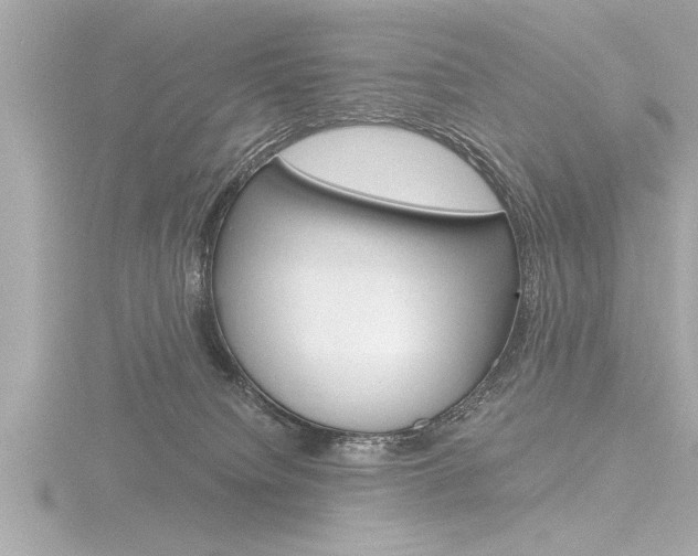 X0000116780084200912171318