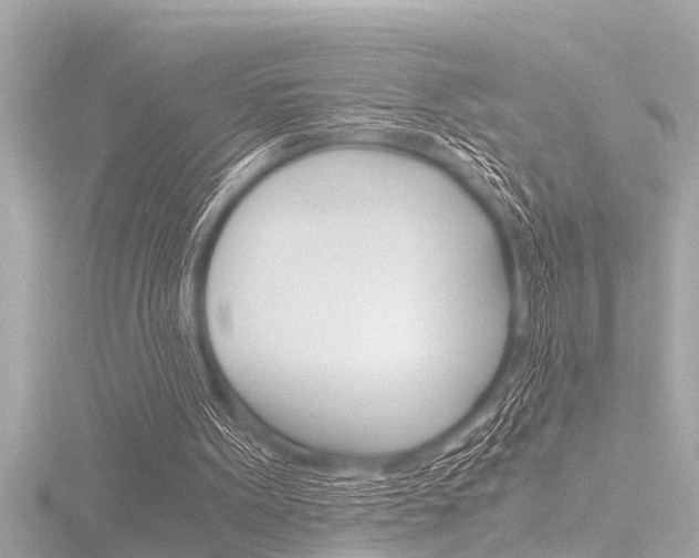 X0000116780099200912171318