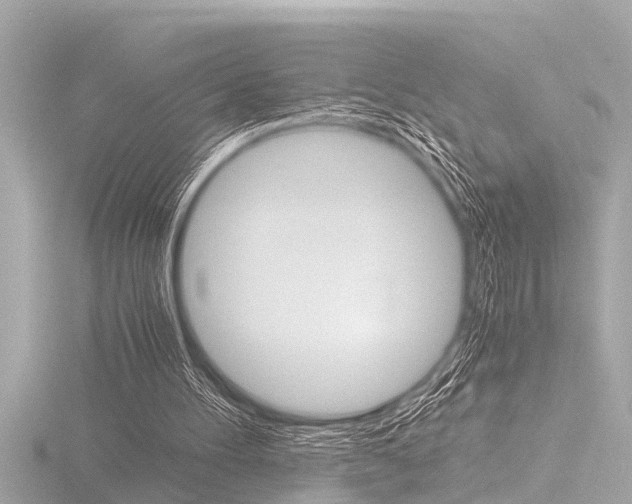 X0000116780100200912171318