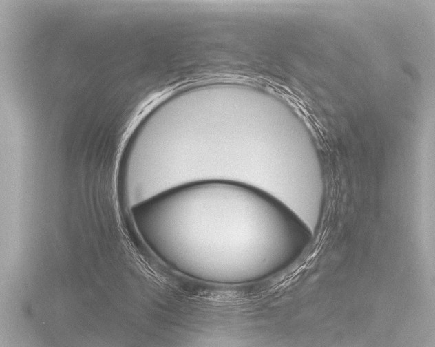 X0000116780104200912171318