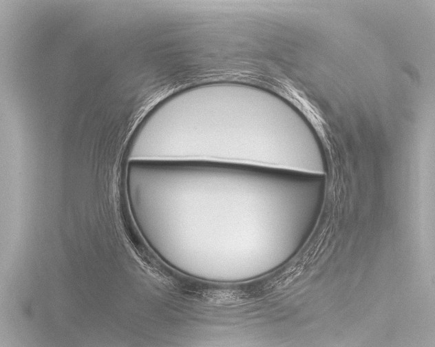 X0000116780107200912171318