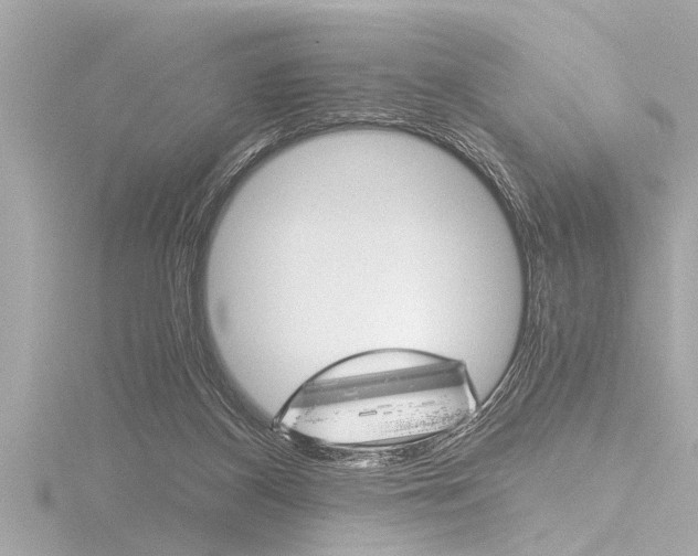 X0000116780116200912171318