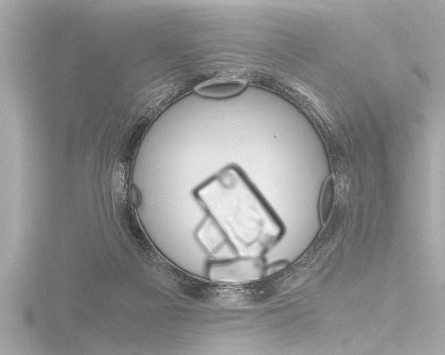 X0000116780121200912171318